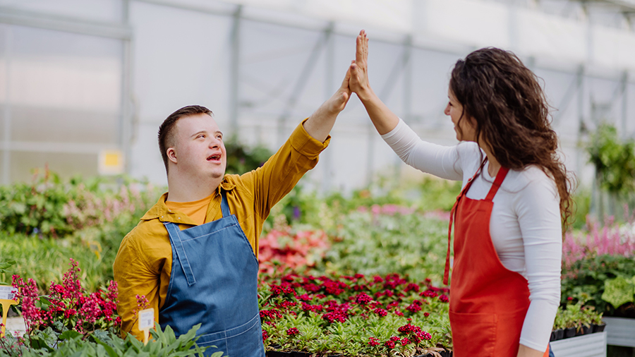 Mann mit Down-Syndrom und Frau stehen in Gartenbaubetrieb. Beide heben eine Hand und schlagen freundlich mit ausgestrecktem Arm die Hände gegeneinander. Bild: Halfpoint – stock.adobe.com