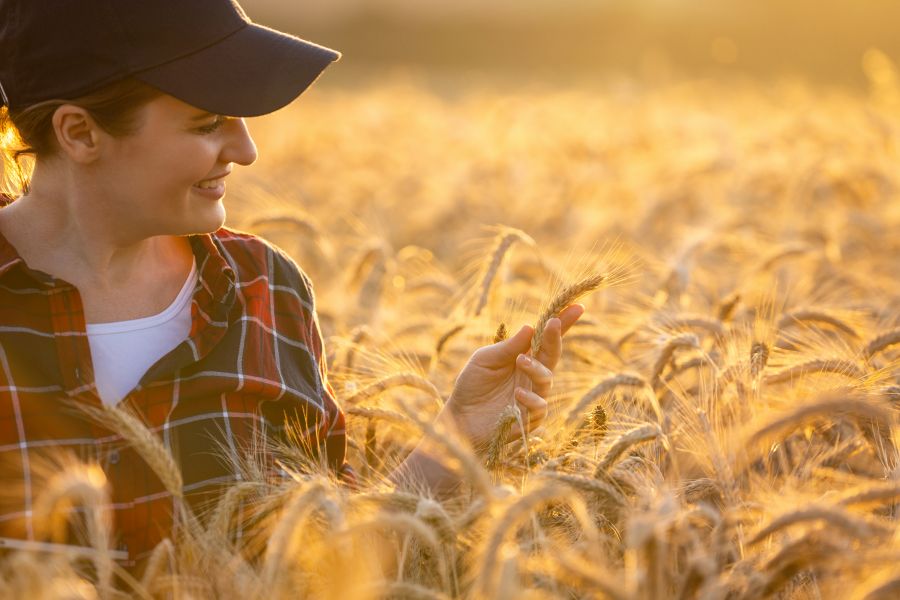 Frau mit Schildkappe und kariertem Hemd kniet in Getreidefeld und schaut auf reife Ähre, die sie in einer Hand hält.