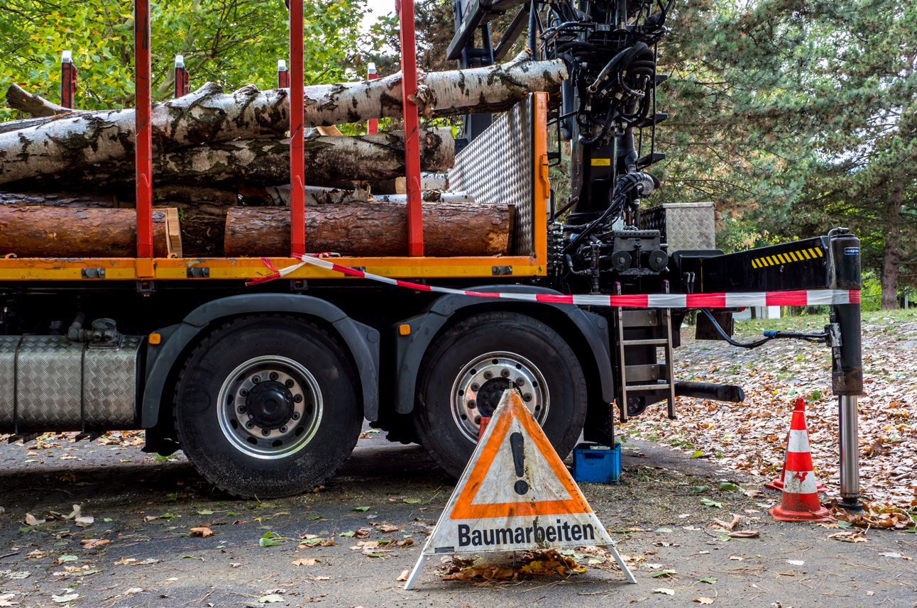 Ein Laster ist mit gefällten Baumstämmen beladen. Davor weist ein Warndreieck auf Baumarbeiten hin.