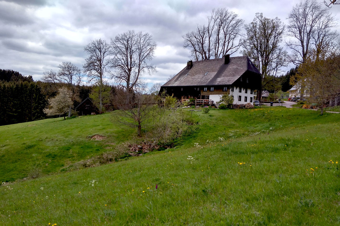 Bauernhof mit Grünland im steilen Gelände