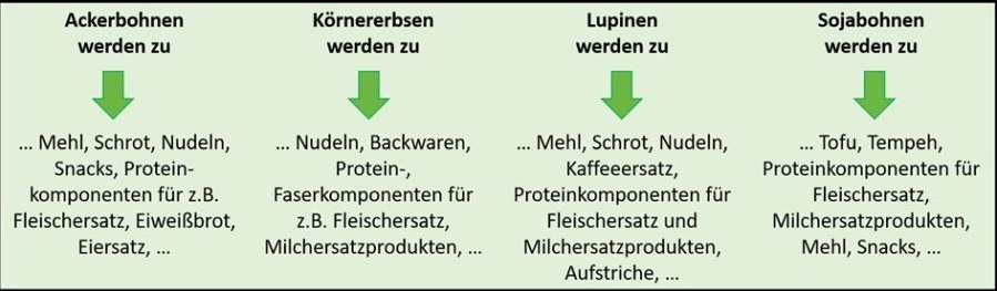 Produktbeispiele für Ackerbohnen, Körnererbsen, Lupinen und Sojabohnen