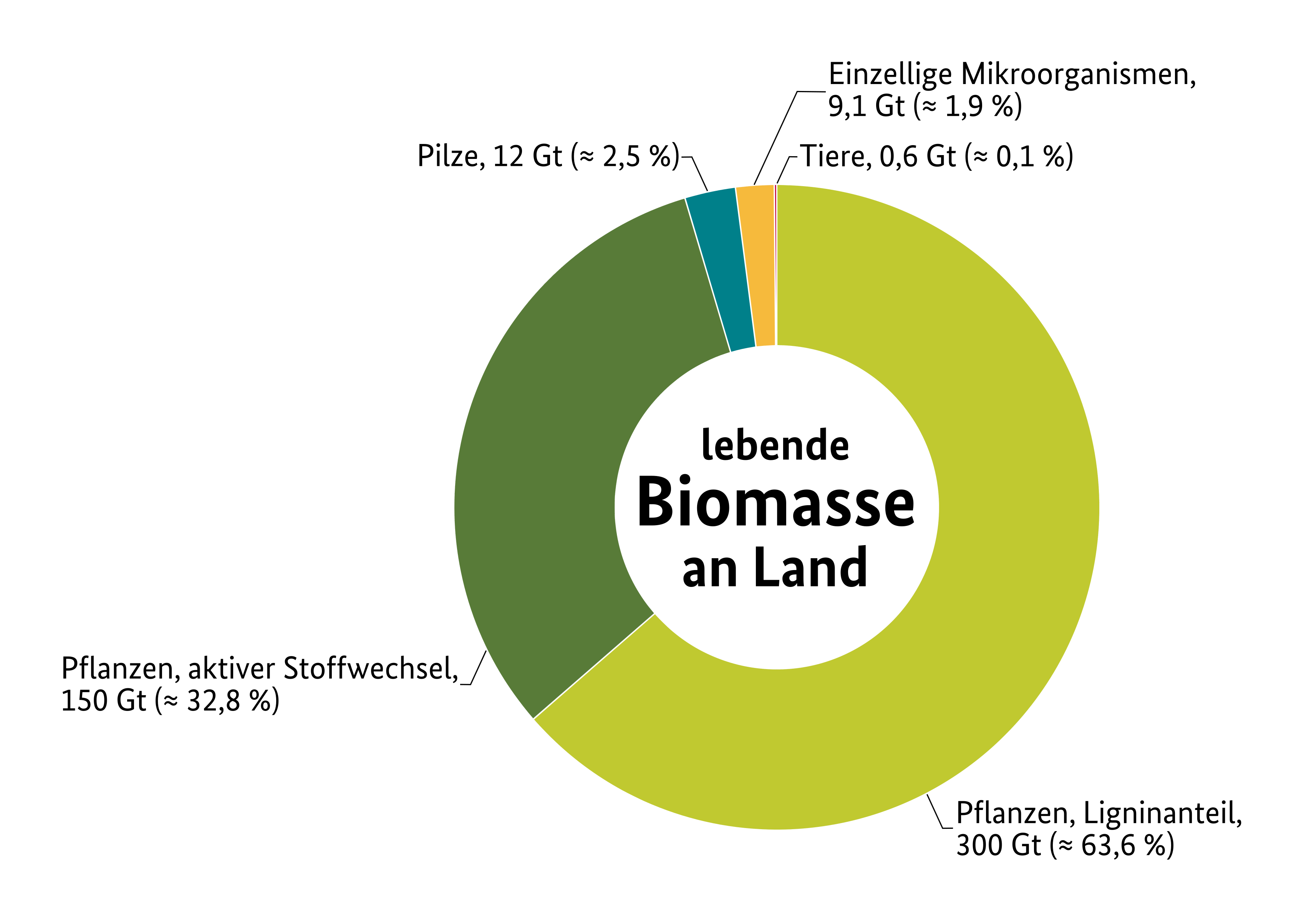Es werden die folgenden Werte dargestellt: Pflanzen, metabolisch nicht aktives Lignin = 300 Gt, ca. 64 %; Pflanzen, aktiver Stoffwechsel = 150 Gt, ca. 32 %; Pilze = 12 Gt, ca. 2,5 %; Einzellige Mikroorganismen = 9,1 Gt, ca. 1,9 %, Tiere = 0,6 Gt, ca. 0,1 %