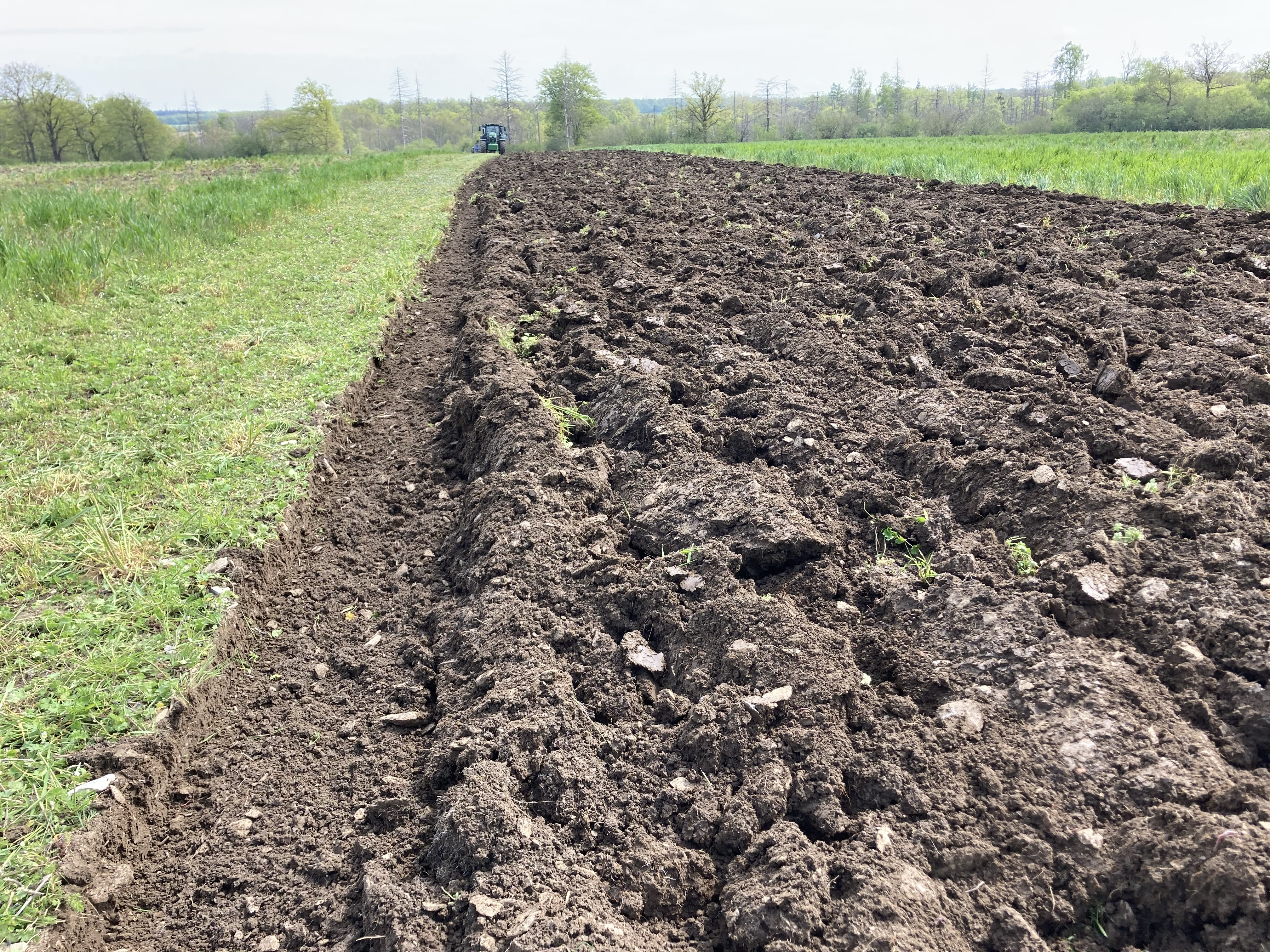 Gepflügter Acker mit Erschollen.