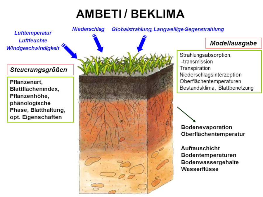 Ein schematisches Bodenprofil