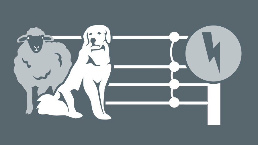 Kachel Herdenschutz BZWW-Website