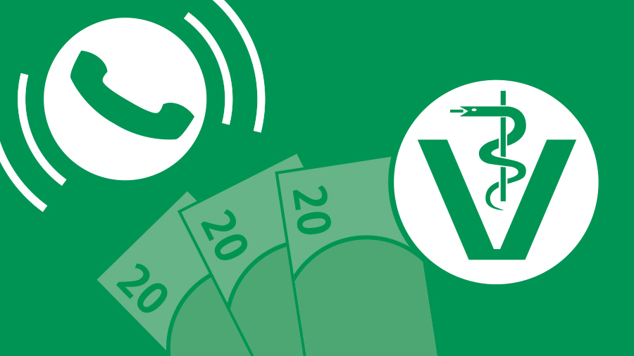 Kachel Schadensfall BZWW-Website