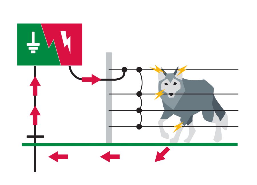 Elektrozaun und Wolf