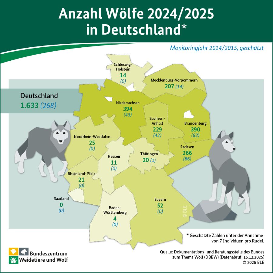 Wolfszahlen aus dem Wolfsmonitoring für 2024