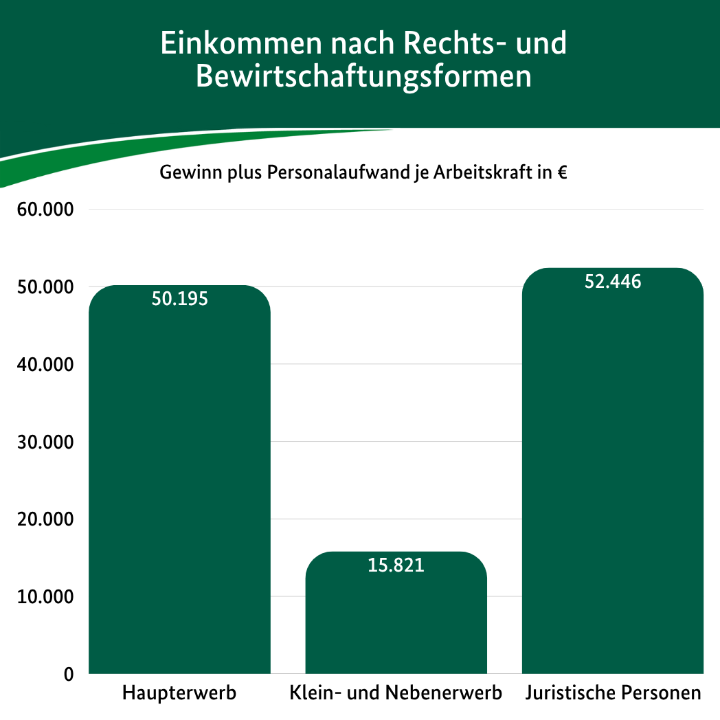 Grafik zum Einkommen nach Rechts- und Bewirtschaftungsform