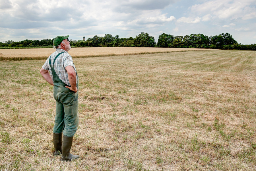 Landwirt steht auf Feld und schaut in den Himmel.