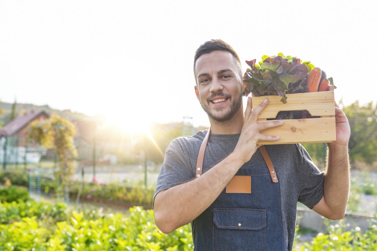 Junger Mann trägt Holzkiste auf seiner Schulter mit Gemüse vom Feld.