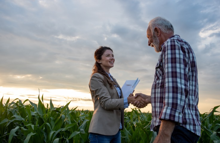 Älterer Landwirt mit kariertem Hemd steht am Rand eines Maisfeldes und schüttelt die Hand einer jungen lachenden Frau in der Rolle einer Beraterin, die einen großen Briefumschlag in der anderen Hand hält.