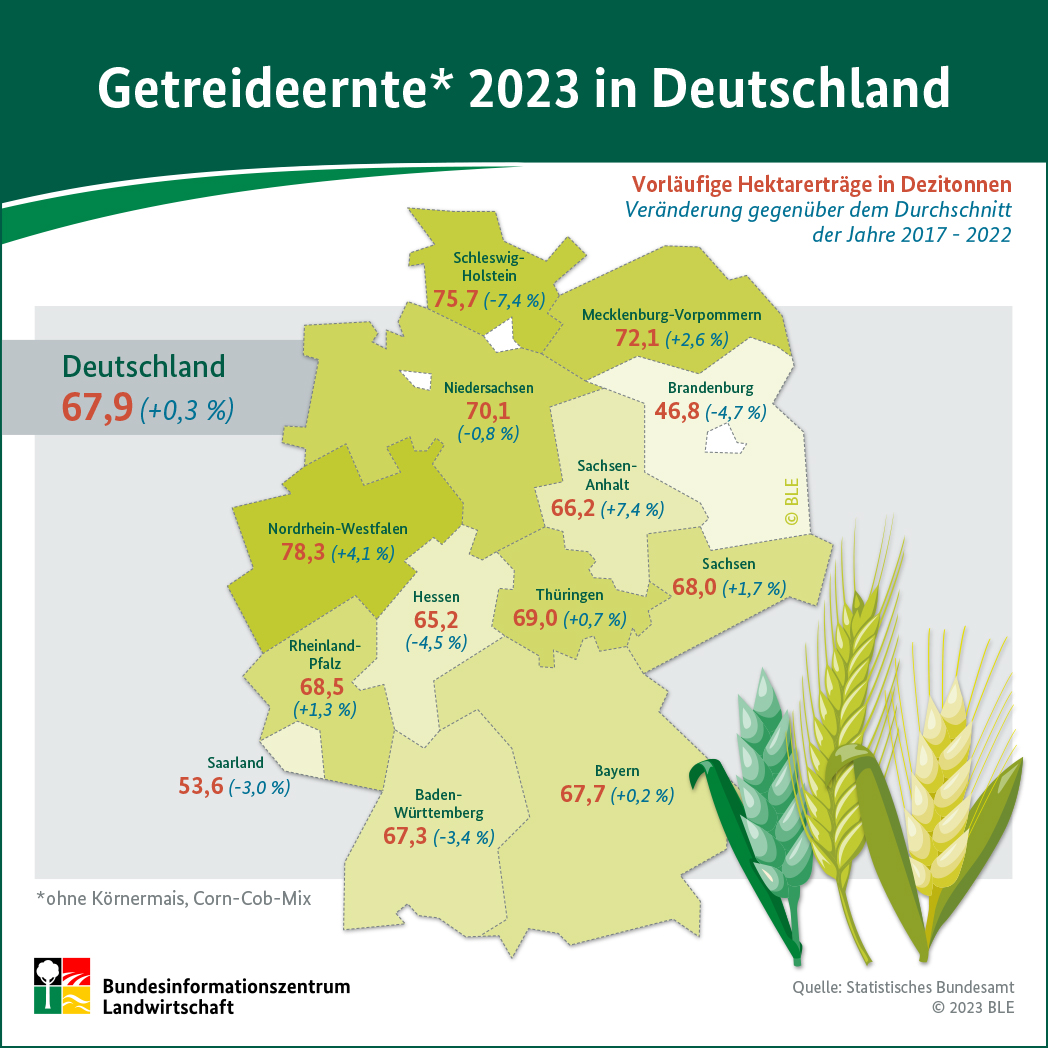 Infografik Hektarerträge Getreideernte 2023