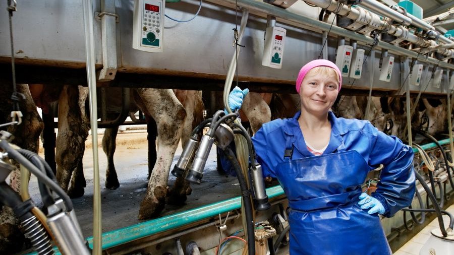 Landwirtin mit wasserdichter blauer Schürze und Jacke steht in einem großen Melkstand und lächelt in die Kamera.