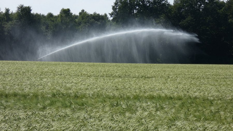 Großflächenregner in Getreide