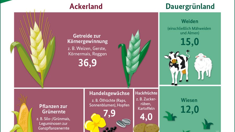 Infografik Flächennutzung