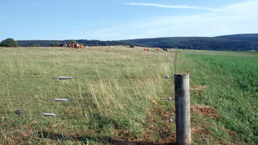 Ein Weidezaun mit drei Drahtlitzen, rechts ein Holzpfosten als Begrenzung.
