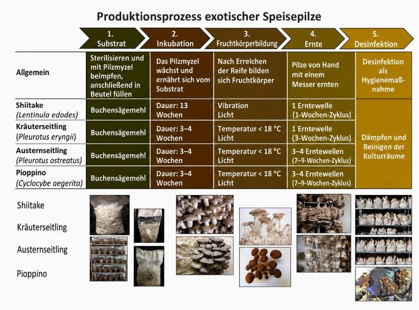 Tabellarische Übersicht der Produktionsprozesse.
