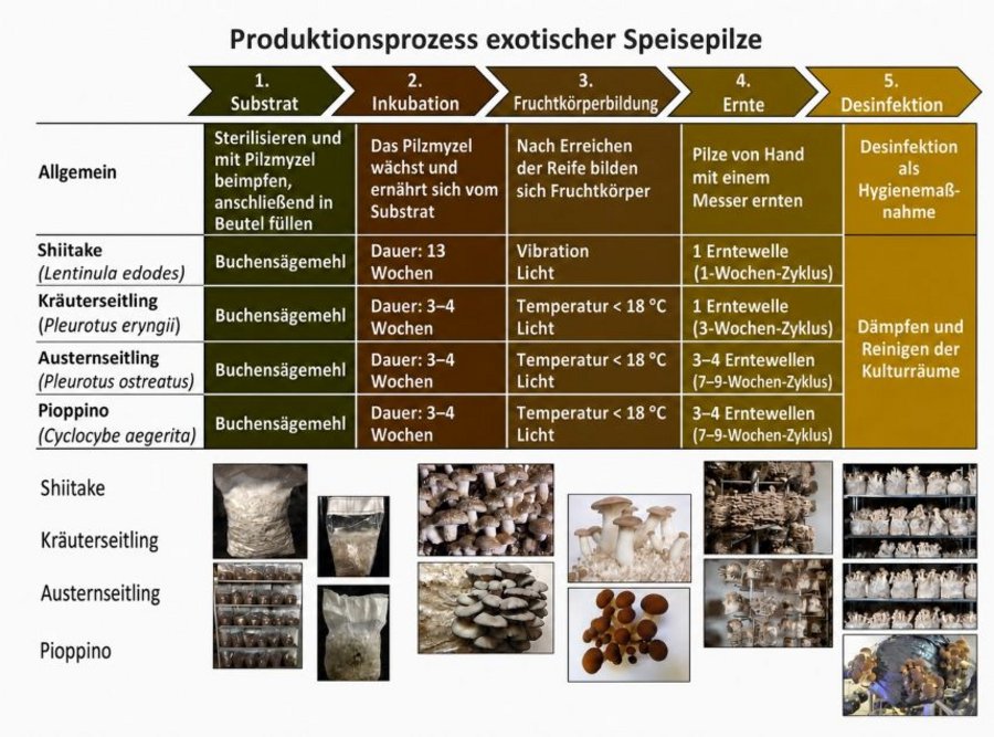 Tabellarische Übersicht der Produktionsprozesse.
