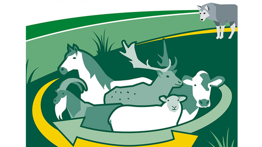 Empfehlungen für Anforderungen an geeignete wolfsabweisende  Herdenschutzzäune