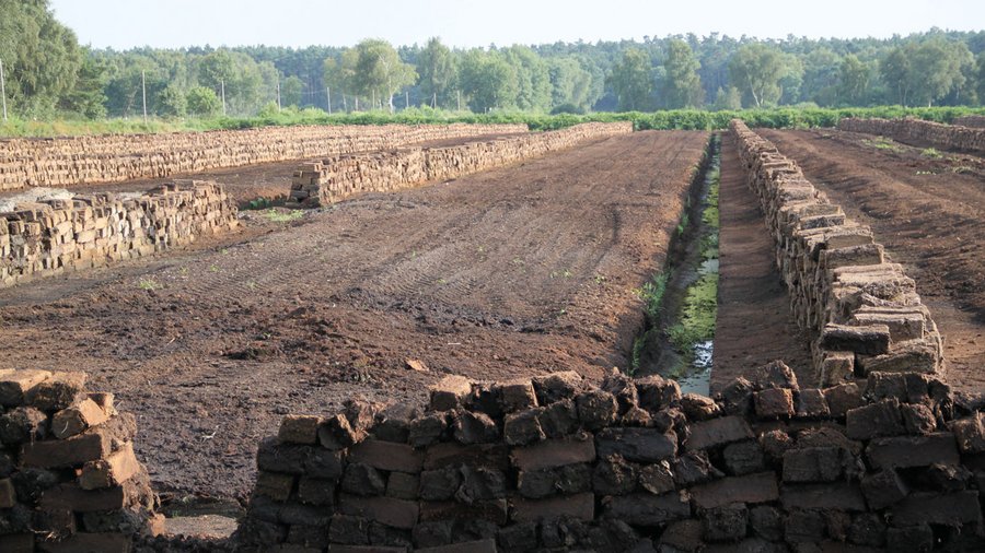 Torfabbau in der Lüneburger Heide