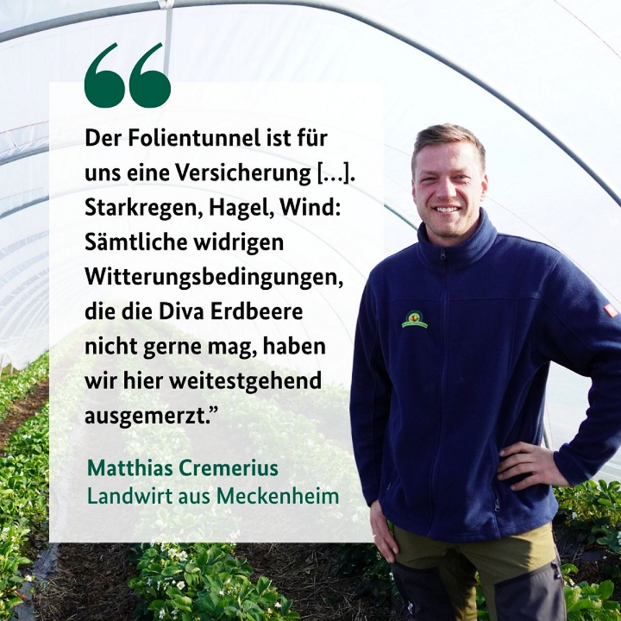 Zu sehen ist Matthias Cremerius mit einem Zitat.