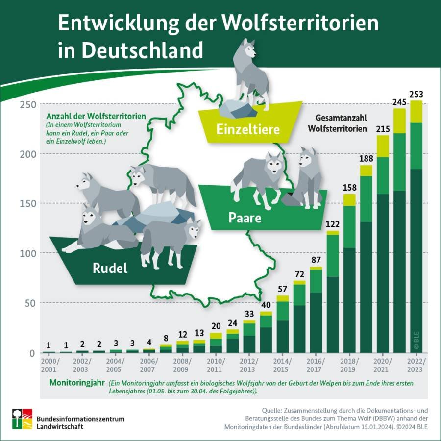 Infografik Entwicklung der Wolfsterritorien in Deutschland, Stand Januar 2024