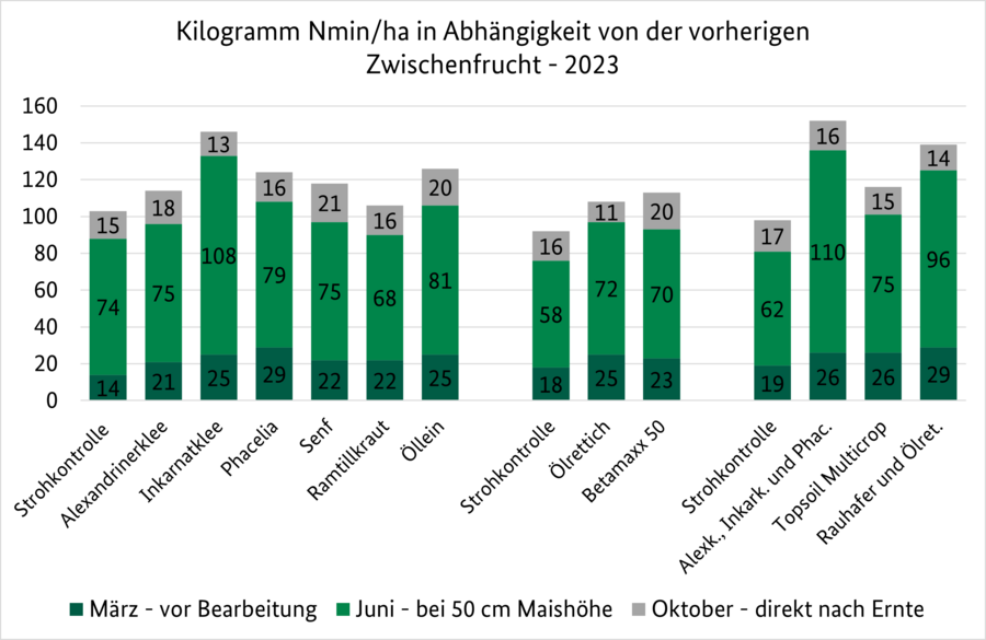 Diagramm über Nmin-Werte im Versuchsjahr 2023 von unterschiedlichen Zwischenfrüchten in der Vorfrucht.