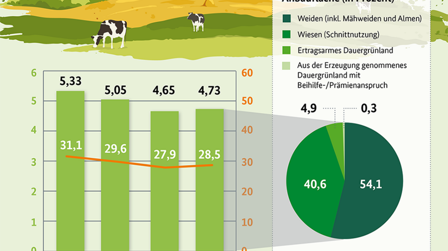 Infografik Dauergrünland