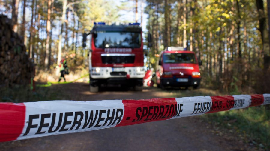 Feuerwehrfahrzeuge im Wald