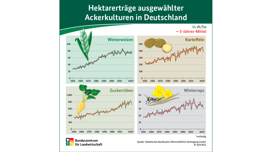 Infografik Hektarerträge Winterweizen, Kartoffeln, Zuckerrüben, Winterraps