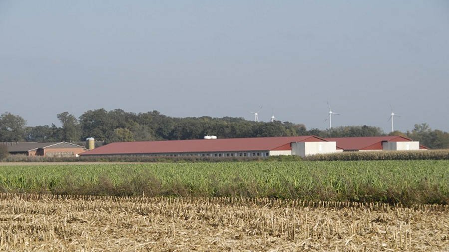 Moderne Schweineställe in Alleinlage.  Bild: Landpixel 