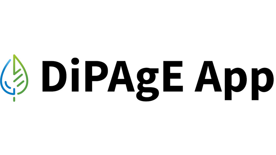 Logo Dipage App