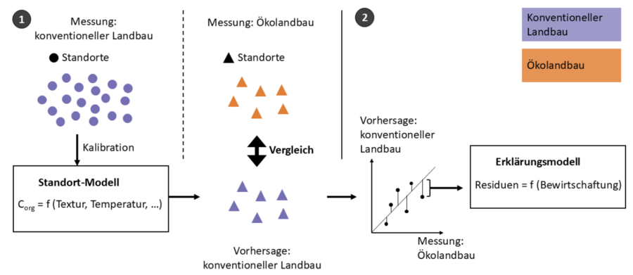 Schematische Darstellung des RandomForest-Modells.
