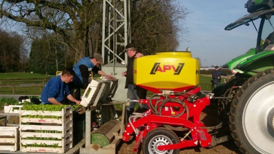 Am Heck eines Traktors sind ein Kastenstreuer und dahinter eine Pflanzmaschine angebracht.