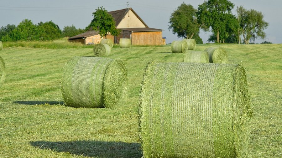 Heuballen auf Wiese
