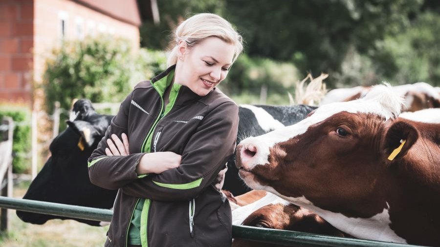 Frau mit grauer Softshell-Jacke steht mit Rücken gegen Stange und lacht in Richtung von zwei dahinterstehenden Kühen, eine braun-weiß und eine schwarzweiß.