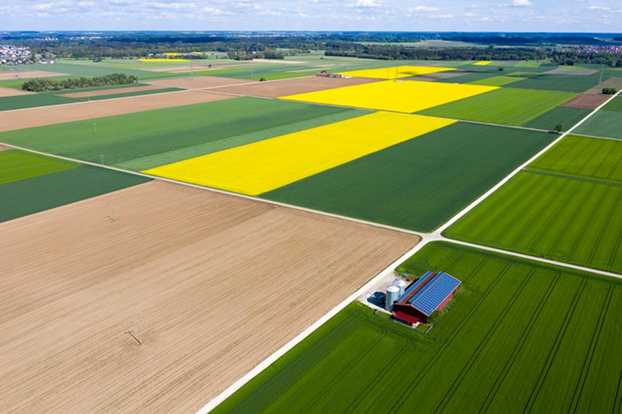 Blick aus der Vogelperspektive auf Ackerflächen.