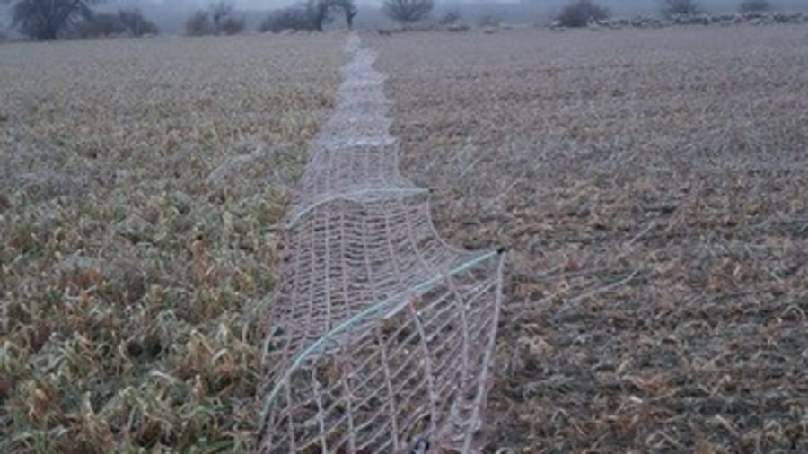 Netzzaun mit sehr viel Eis ummantelt und umgebogen