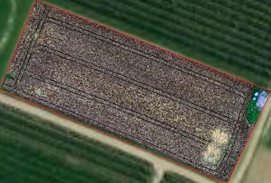 RGB-Bild basierend auf den Daten einer Feldbefliegung.