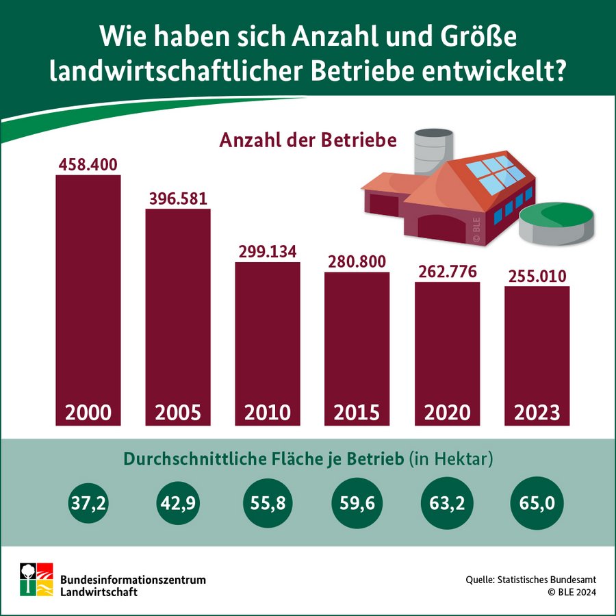 Infografik mit einer Zeitreihe zur Entwicklung der Anzahl und Größe landwirtschaftlicher Betriebe