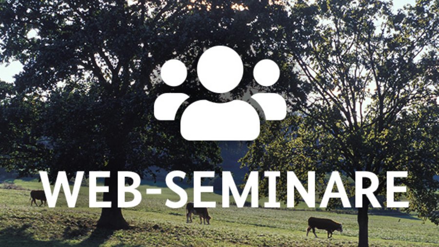 Logo Web-Seminar