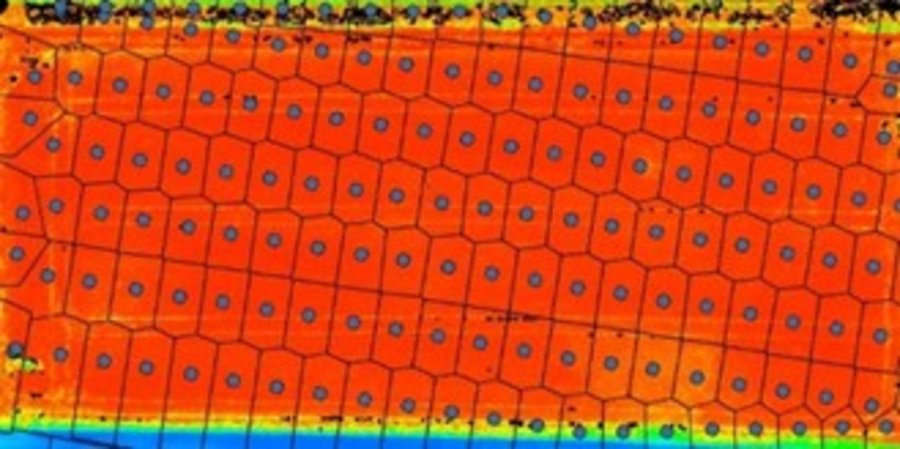 Orthomosaik als NDVI.