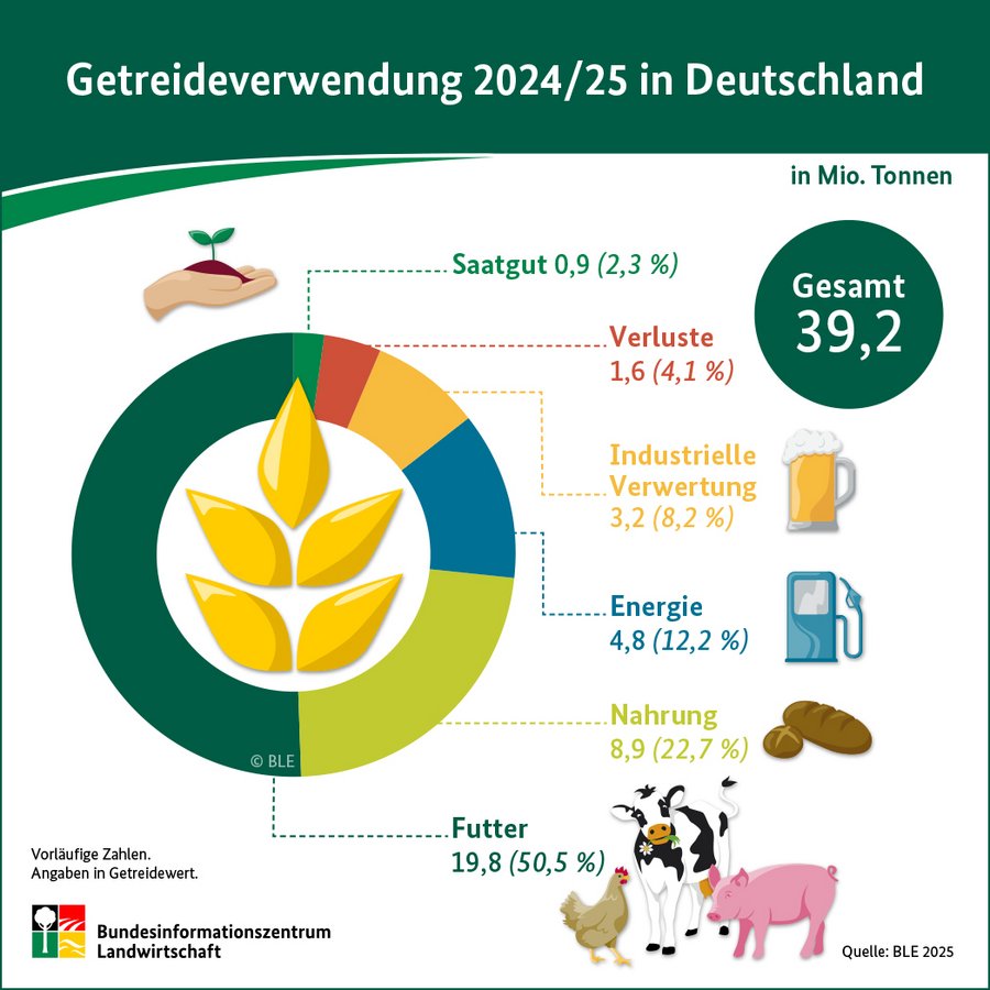 Infografik Getreideverwendung 2024/25 in Deutschland