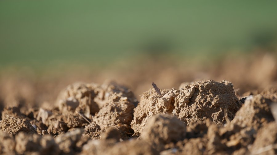 Nahaufnahme von einem bearbeiteten Boden.