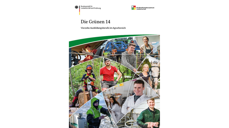 Broschüre "Die Grünen 14"