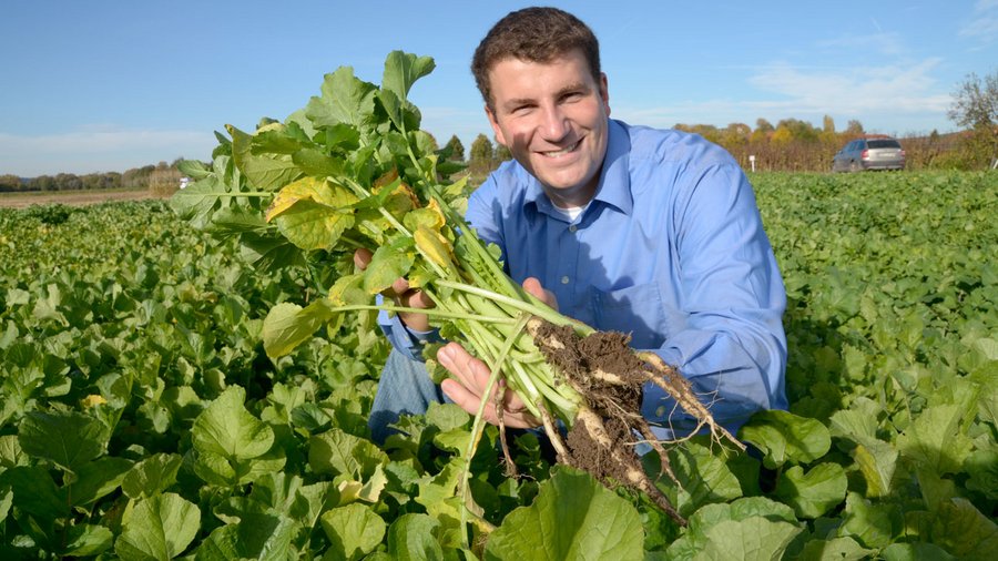 Mann auf Feld mit Ölrettich