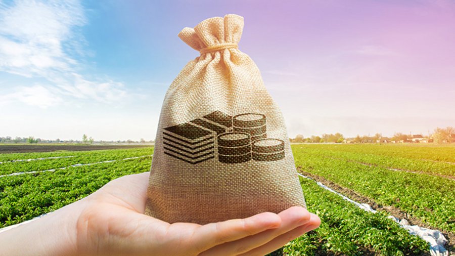 Geldsack in der Hand vor dem Hintergrund eines Feldes.