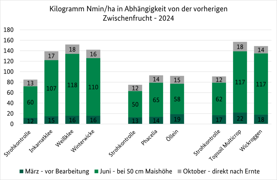 Diagramm über Nmin-Werte im Versuchsjahr 2024 von unterschiedlichen Zwischenfrüchten in der Vorfrucht.