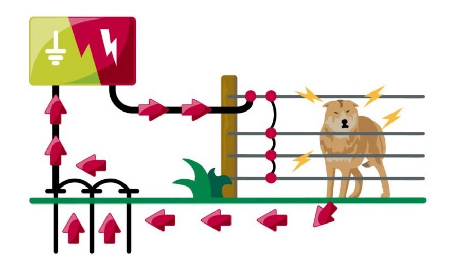 Schaubild Elektrozaun mit Wolf